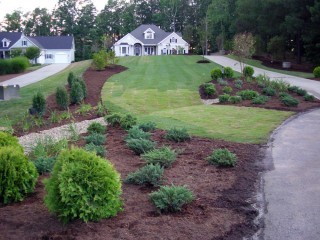 Ground Covers